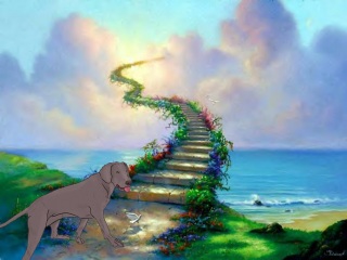 stairwaytoheaven.jpg